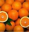Tangerines Fo