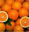 Tangerines Fo Tangerines Fo