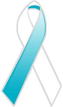 Teal White Pin Fo Teal White Pin Fo