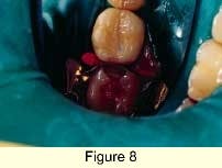 Th 0301dem033h Th 0301dem033h