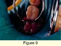 Th 0301dem033i Th 0301dem033i