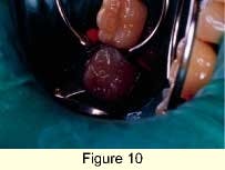 Th 0301dem033j Th 0301dem033j