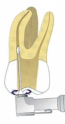 Th 0406dem521 Th 0406dem521