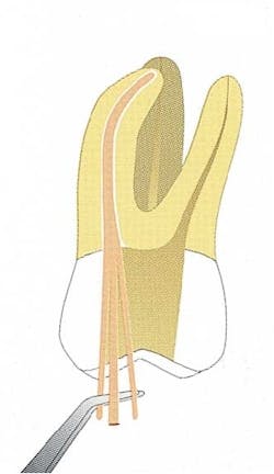 Th 0406dem554 Th 0406dem554