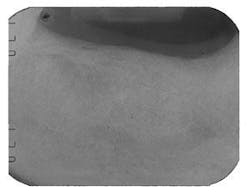 Th 0504wdjbone04 Th 0504wdjbone04