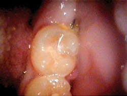 Th 0504wdjtch01 Th 0504wdjtch01