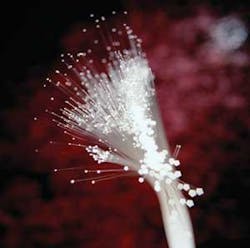 Th 0506dem Fiberoptic01 Th 0506dem Fiberoptic01