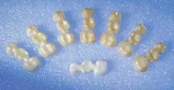 Th 0506dem Realwin01 Th 0506dem Realwin01