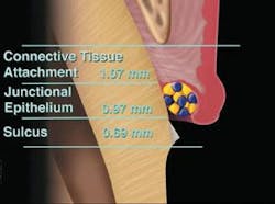 Th 0507wdjpres03 Th 0507wdjpres03