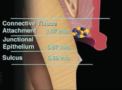 Th 0507wdjpres05 Th 0507wdjpres05