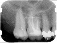 Th 0509wdjbond01 Th 0509wdjbond01