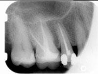 Th 0509wdjbond02 Th 0509wdjbond02