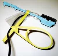 Th 0601dem Assistants01 Th 0601dem Assistants01