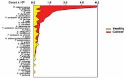 Th 0601wdjsal04 Th 0601wdjsal04