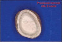 Th 0603wdjbra13 Th 0603wdjbra13