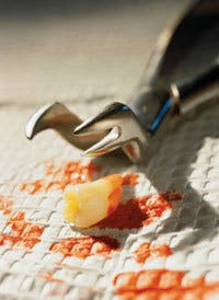 Th 0604wdjhup Th 0604wdjhup