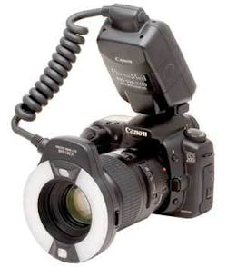 Th 0605dem Reality05 Th 0605dem Reality05