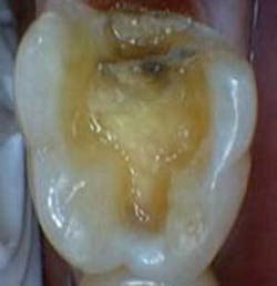 Th 0605wdj Incorp03 Th 0605wdj Incorp03