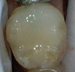 Th 0605wdj Incorp05 Th 0605wdj Incorp05