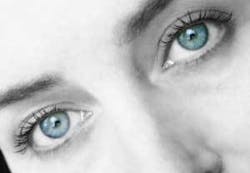 Th 0605wdj Prey02 Th 0605wdj Prey02