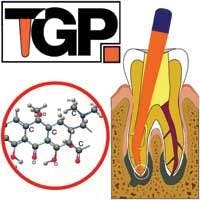 Th 0609wdj Prod02 Th 0609wdj Prod02