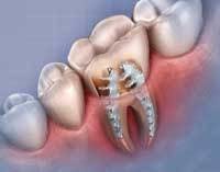 Th 0609wdj Prod08 Th 0609wdj Prod08