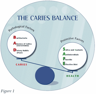 Th 0701do Cecourse01
