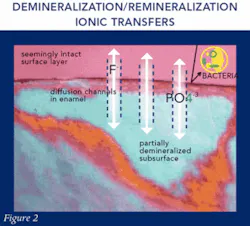 Th 0701do Cecourse02 Th 0701do Cecourse02