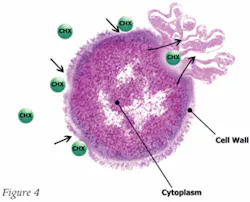 Th 0701do Cecourse04 Th 0701do Cecourse04