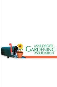 Th 0705wdjsimp03 Th 0705wdjsimp03