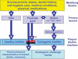 Th 0707wdjminimal02 Th 0707wdjminimal02