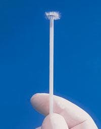 Th 0802do Indepth26 Th 0802do Indepth26