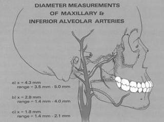 MN is a branch of the posterior trunk of the inferior alveolar nerve