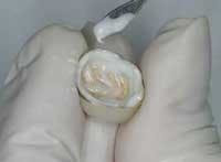 Th Frenchf4 Th Frenchf4