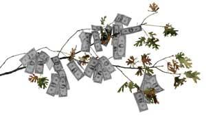 Th Relationships First 01