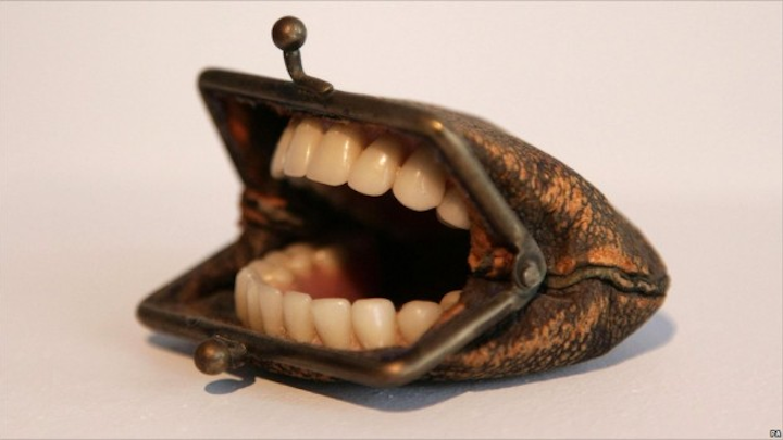 Toothpurse