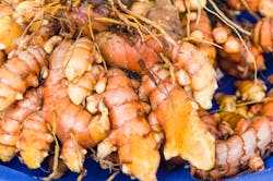 Tumeric Root Tumeric Root