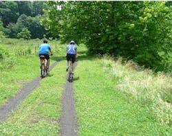 Virginiacreeper Virginiacreeper