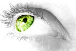 Vision Fo Vision Fo