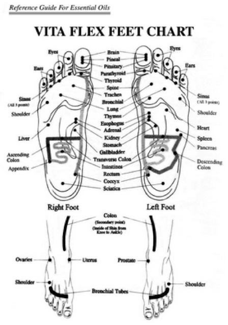 Vita Flex Feet Chart