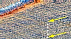 Content Dam Diq Online Articles 2016 01 Nyustudy Noncircadian Rhythm Teeth Article Thumbnail Content Dam Diq Online Articles 2016 01 Nyustudy Noncircadian Rhythm Teeth Article Thumbnail