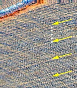 Nyustudy Noncircadian Rhythm Teeth Pic2 Nyustudy Noncircadian Rhythm Teeth Pic2
