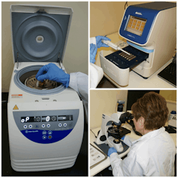 Biofilmdna Rsz Biofilmdna Rsz