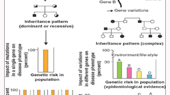 Periogenetics22516table1