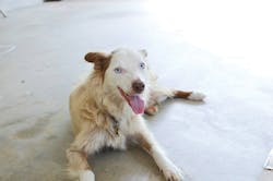 1601apxedn P02 1601apxedn P02