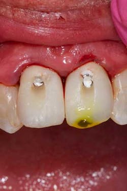 16mar03bc Meek16 16mar03bc Meek16