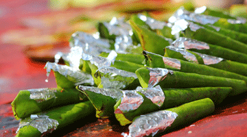 Content Dam Diq Online Articles 2016 03 Pann Oral Cancer Thumb