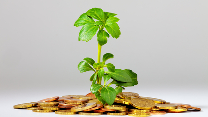 Content Dam Diq Online Articles 2016 03 Tree Money