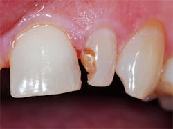 Kurtzman Failing Fig02 Kurtzman Failing Fig02