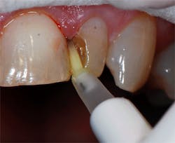 Kurtzman Failing Fig03 Kurtzman Failing Fig03